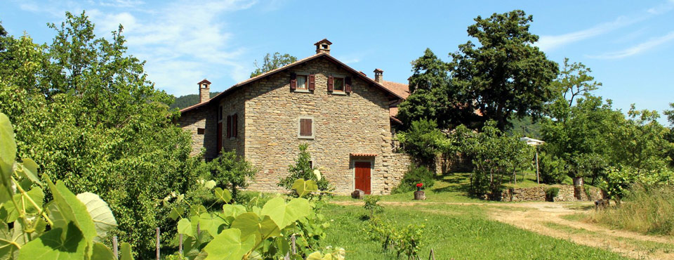 Agriturismo nel Verde